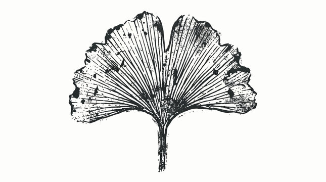 Ginkgo Leaf Illustration