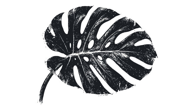 Monstera leaf stamp texture, black and white tropical plant.