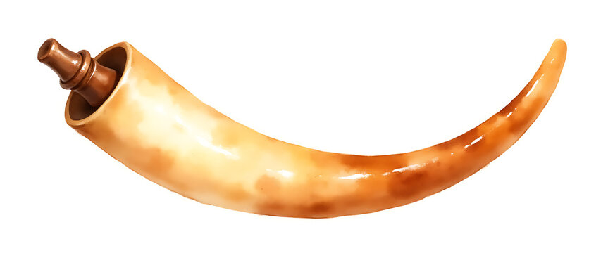 Powder Horn with Stopper Historical Weapon Accessory Isolated on White