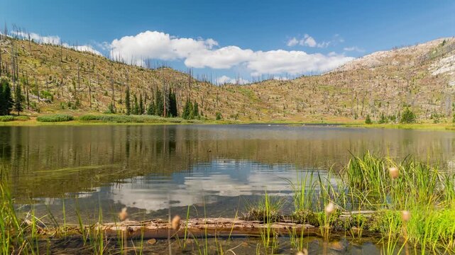 Clouds reflected in a calm mountain lake with grass and sedges in the foreground, Lake of the Woods, Beartooth Mountains, Montana, time lapse