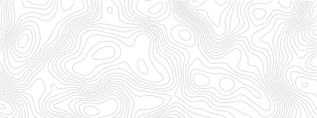 Abstract topographic map lines seamless vector pattern great for backgrounds and textures © Romana