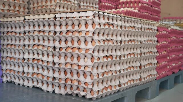 Large stack of fresh organic eggs in cardboard trays on warehouse pallets ready for delivery