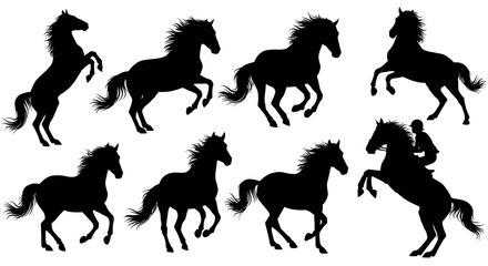 Collection of rearing and walking horse silhouettes on transparent background © Hridoy