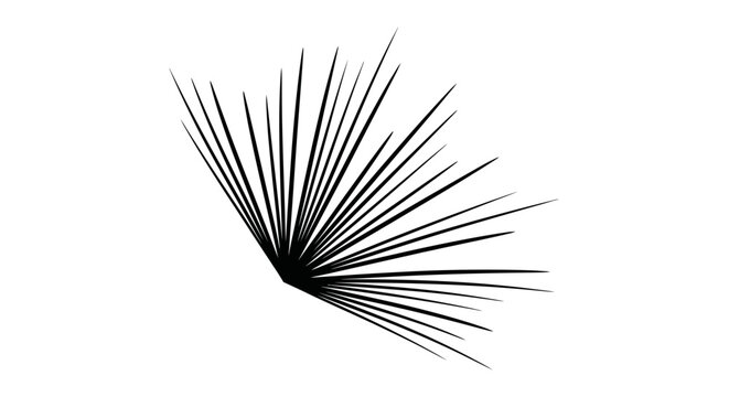 Black eyelash extensions close up view.