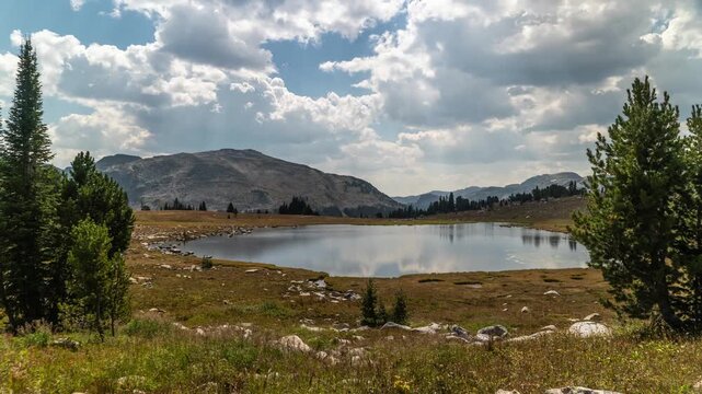 Cloud shadows moving over a small alpine lake, meadow and pine trees in the Beartooth high country, Montana, time lapse