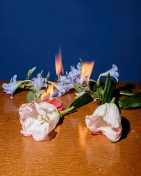 Memorial Candles and Fresh Flowers Arranged on a Wooden Table for Commemoration Ceremony with a Blue Studio Background for Advertising and Social Media Content Use
