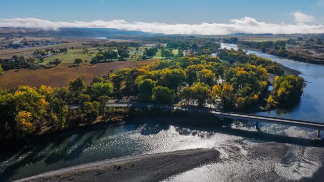 Aerial hyperlapse over the Yellowstone River with fall cottonwoods, gravel bars and a bridge, Montana
