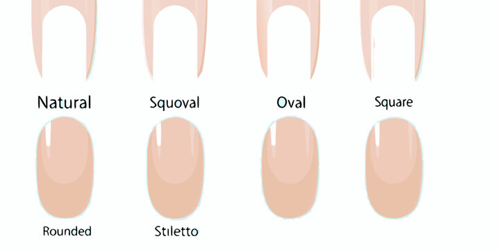 Illustration displaying various artificial nail shapes and their names
