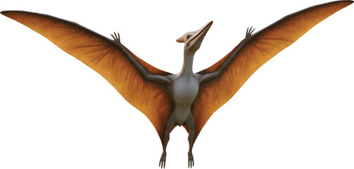 Brown Pterodactyl Flying Isolated on White Background © Kashif