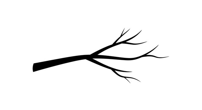 Black silhouette of a tree branch.