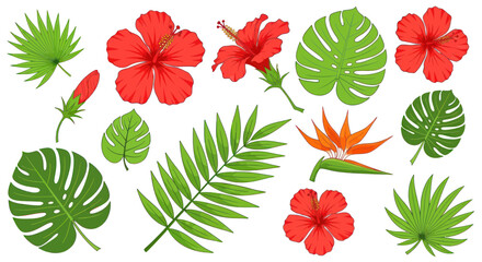 Tropical Flowers and Leaves Set: Hibiscus, Bird of Paradise, Palm, Monstera © Apel