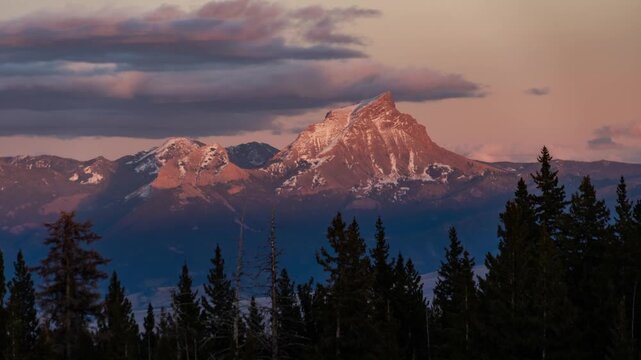 Pink alpenglow fading from Sphinx Mountain in the Madison Range above silhouetted pine trees at sunset, Montana, time lapse