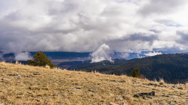 Big clouds rolling over the Madison Range and valley beyond a grassy hillside with a lone pine, Gravelly Range, Montana, time lapse