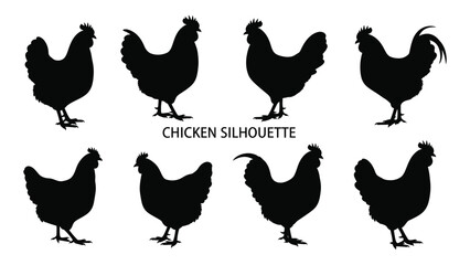 A group of chickens and a rooster standing in different positions © SILHUETTECHEMBER