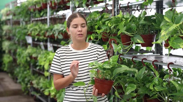 Portrait of happy girl chooses an flower exotic pothos tutor in a flower shop. High quality 4k footage