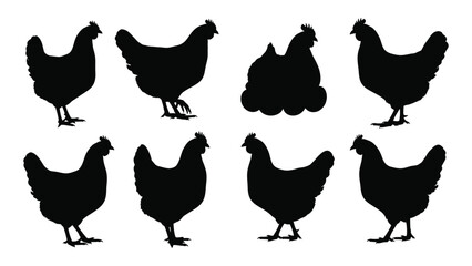 Seven black chicken silhouettes in various poses © SILHUETTECHEMBER