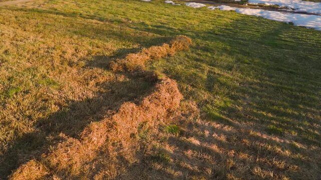 Smooth camera movement over lawn during spring care. First grass maintenance after winter