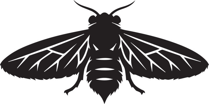 Black moth icon vector