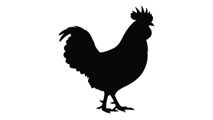 A black silhouette of a rooster standing on a surface © SILHUETTECHEMBER