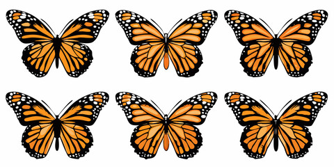 Six monarch butterflies displayed in a symmetrical repeating pattern © Hridoy