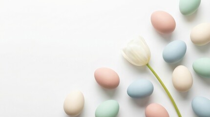 Soft Pastel Easter Eggs Arranged with a White Tulip on a Clean White Background