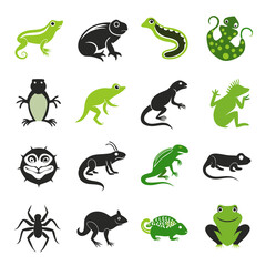 Naklejka premium Collection of reptiles and insects vector cartoon illustrations