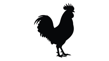 A black silhouette of a rooster standing on a surface © SILHUETTECHEMBER