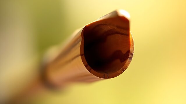 nock. Arrow nock fitted on bowstring, carved groove and wood grain in soft light. tutorial guides, club newsletters, designed for tourism and weekend activity guides, used by curriculum designers.