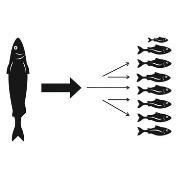 Predator and prey fish relationship diagram