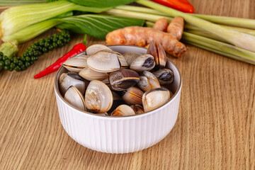 Raw fresh wild clams mollusc © Andrei Starostin