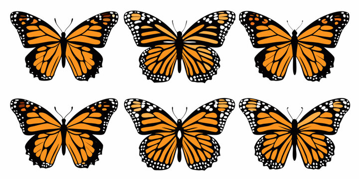 Six monarch butterflies displayed in a repeating grid pattern