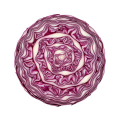 Fototapeta premium Red cabbage slice macro close up