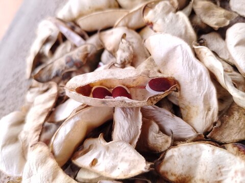 Dried pigeon pea pods with red seeds inside, split legume husk with brown pulse