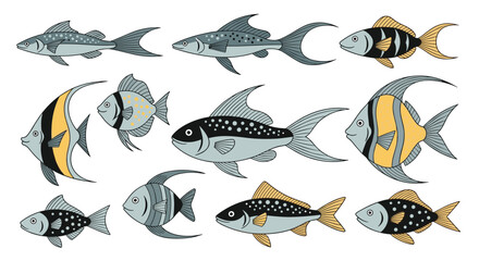 Fototapeta premium Educational illustration presents a variety of tropical fish species with unique patterns and colors in a flat style.