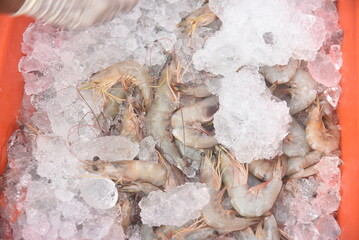 Full Frame Background of Fresh Shrimps in Pile of Ice	