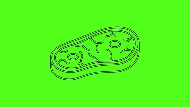 Title: Raw Beef Steak Meat Line Art Vector Icon Animation on Green Screen Background