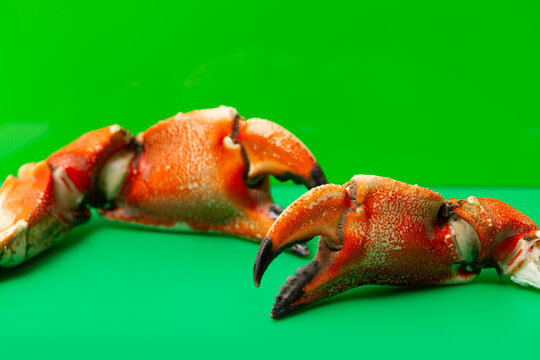 Crabs claws macro close up texture. Crabs claws gourmet vibrant concept. Crabs claws cracked shell detail. Crab cuisine background minimal.
