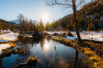 Mountain view with hiking path in Javorova dolina nature reserve during a winter sunny day in Slovakia in High Tatras mountains © Zedspider
