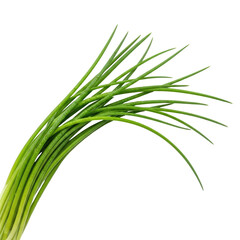 Obraz premium Bunch of fresh green chives with water droplets curved elegantly isolated on a transparent background