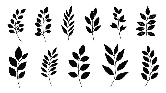 Collection of twelve black silhouettes of different leafy branches and twigs featuring various leaf shapes for nature themed design elements.