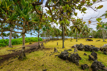 Fototapeta premium Tropical vegetation along Cap Mechant coast at Reunion Island