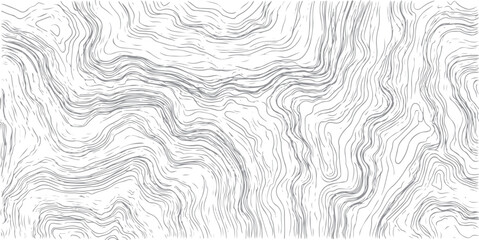 Fototapeta premium Abstract gray wavy lines on white background texture