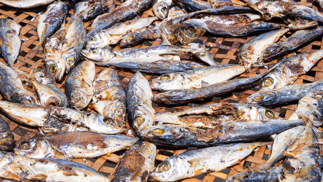 Traditional salted fish drying under the sun on bamboo racks. Seafood preservation process in a coastal village, representing traditional food production, fishing industry, and local culture.