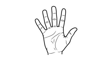 Fototapeta premium Simplified line art illustration depicting an open human hand with five outstretched fingers