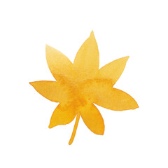 Fototapeta premium Yellow Autumn Maple Leaf Watercolor Illustration