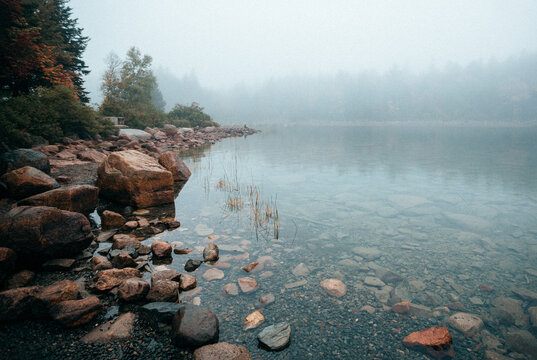 Misty shoreline of Jordan Pond in Acadia National Park.
