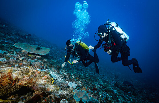 two divers exploring the clear water at Komodo National park