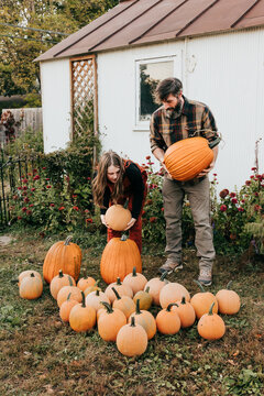 Father and daughter work together to move pumpkins in backyard