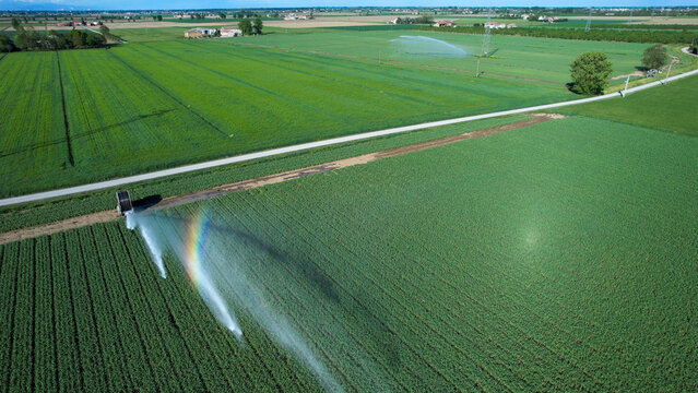 Sprinklers irrigate soybean fields in summer with rainbow effect