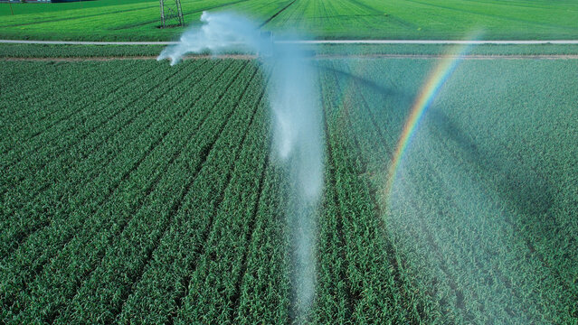 Water management and climate change challenges